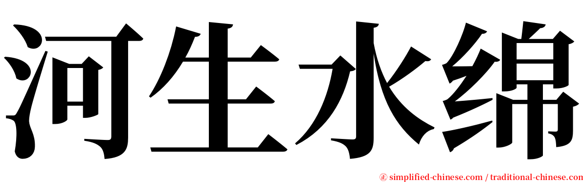 河生水绵 serif font