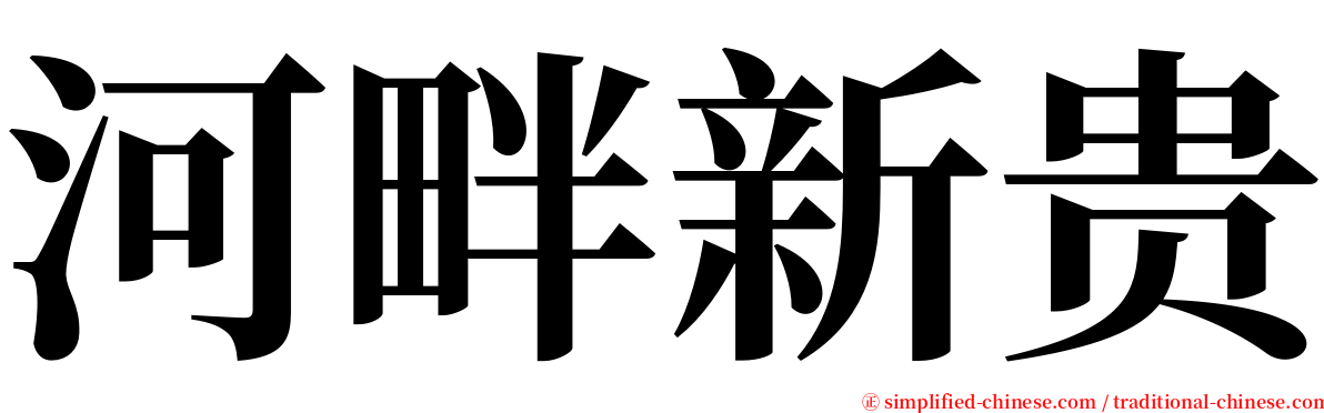 河畔新贵 serif font