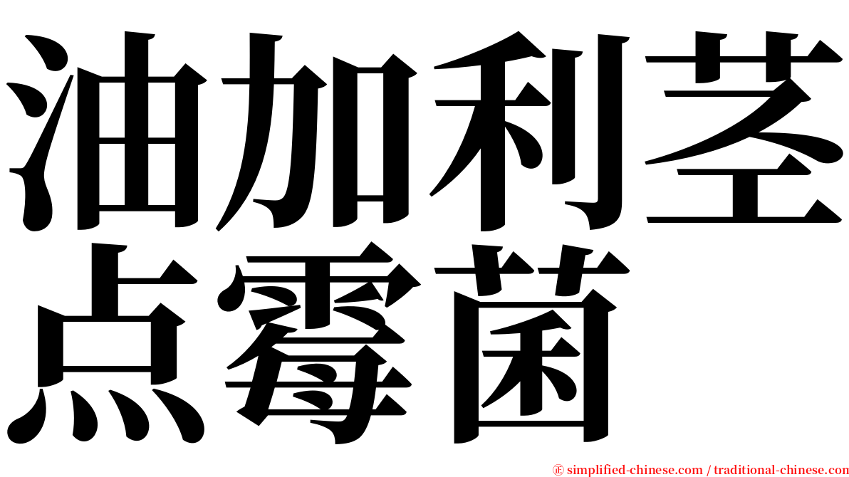 油加利茎点霉菌 serif font