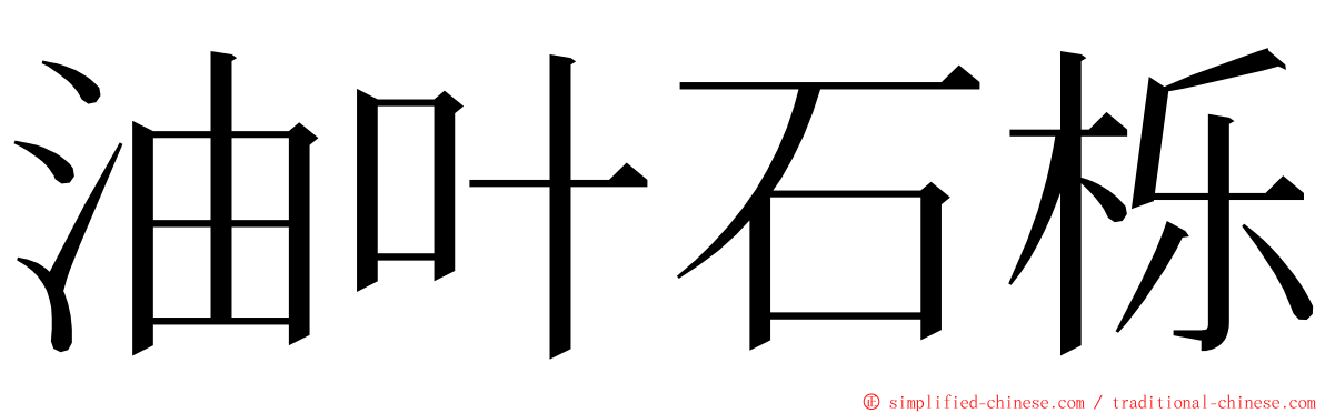 油叶石栎 ming font