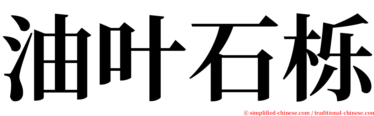 油叶石栎 serif font