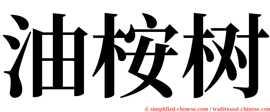 油桉树 serif font