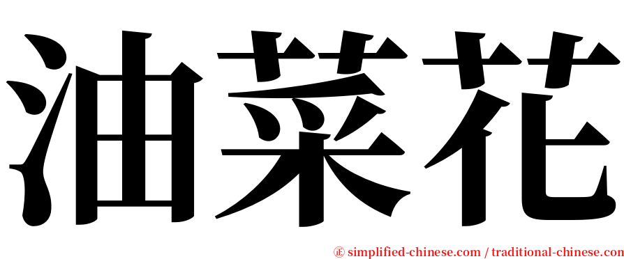 油菜花 serif font