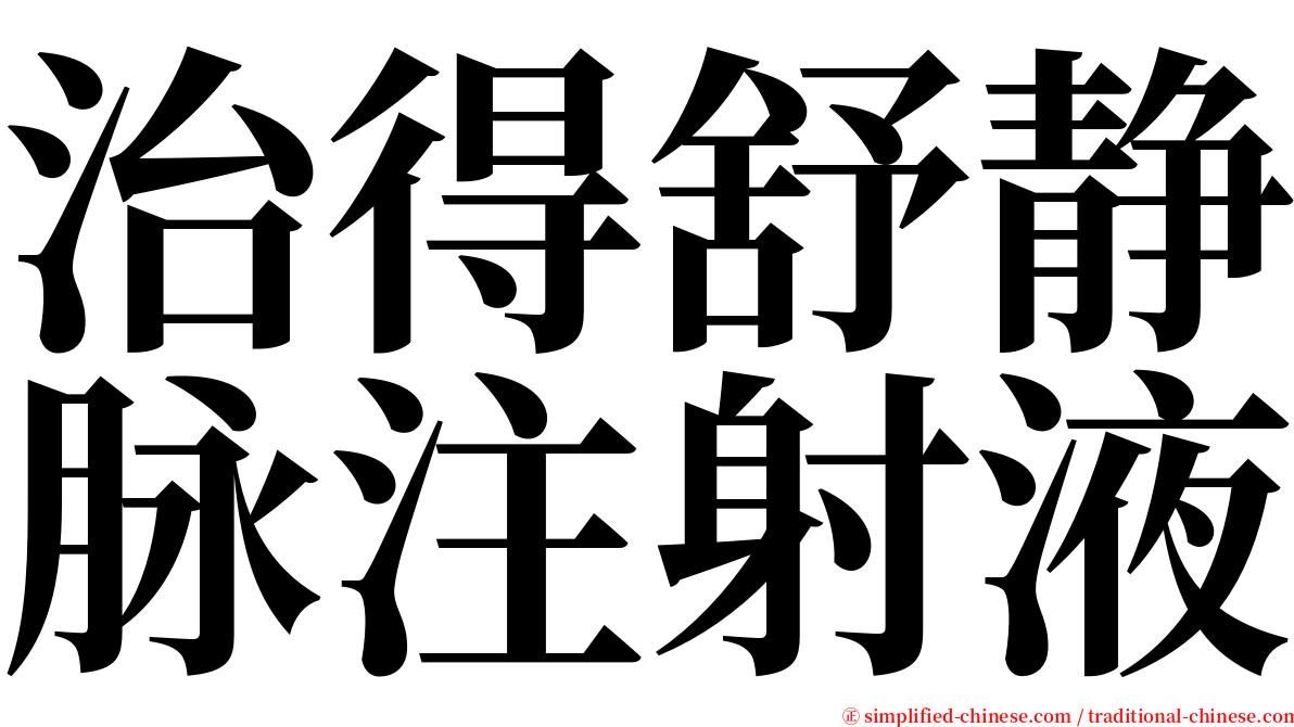 治得舒静脉注射液 serif font