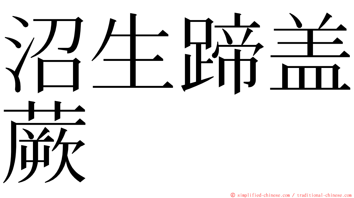 沼生蹄盖蕨 ming font