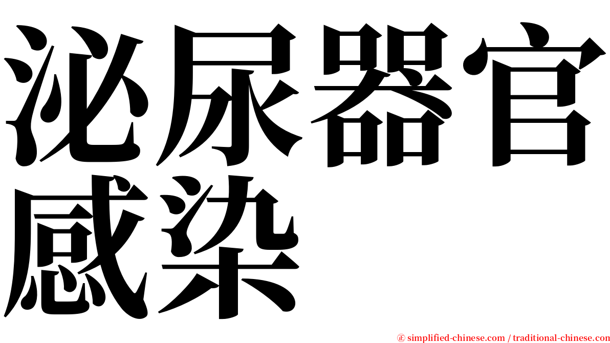 泌尿器官感染 serif font