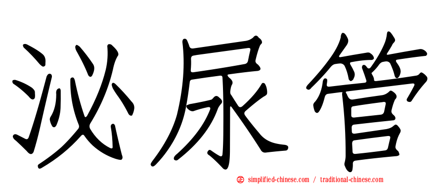 泌尿管