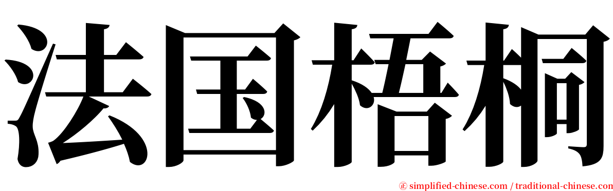 法国梧桐 serif font