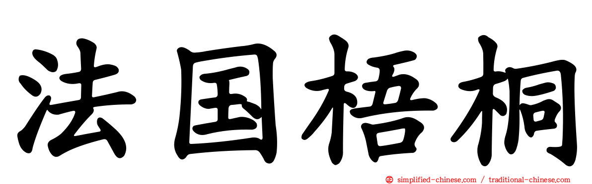 法国梧桐