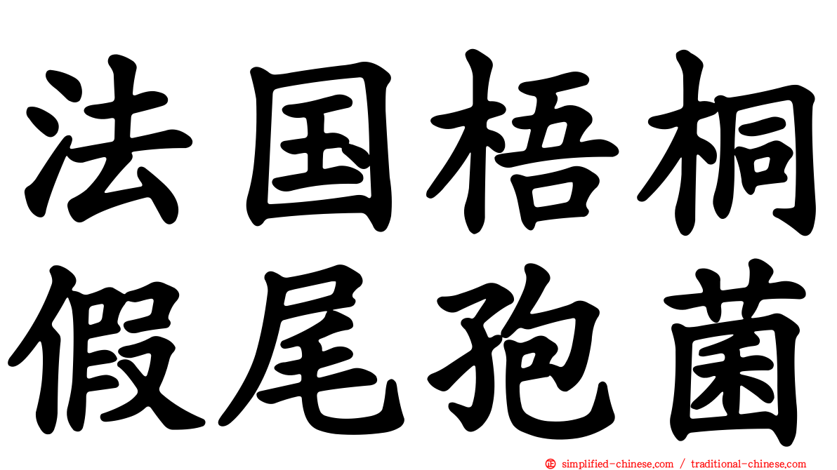 法国梧桐假尾孢菌