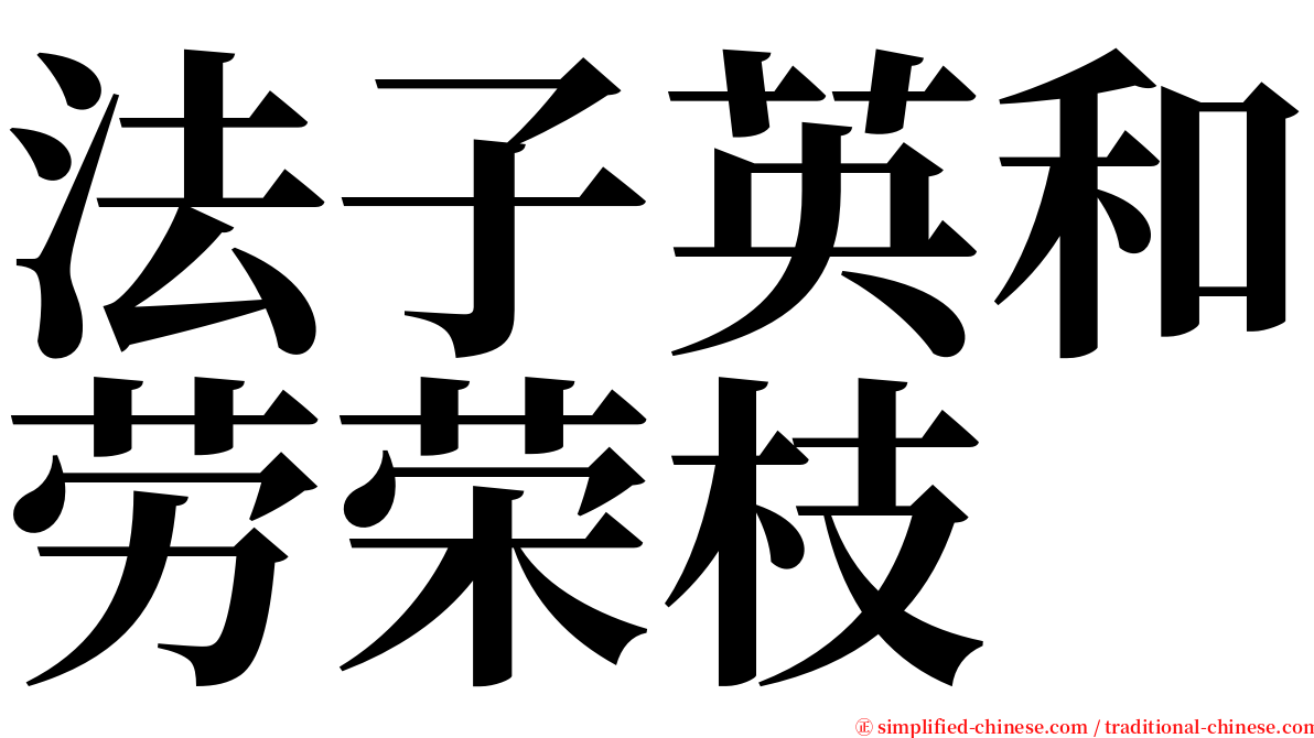 法子英和劳荣枝 serif font