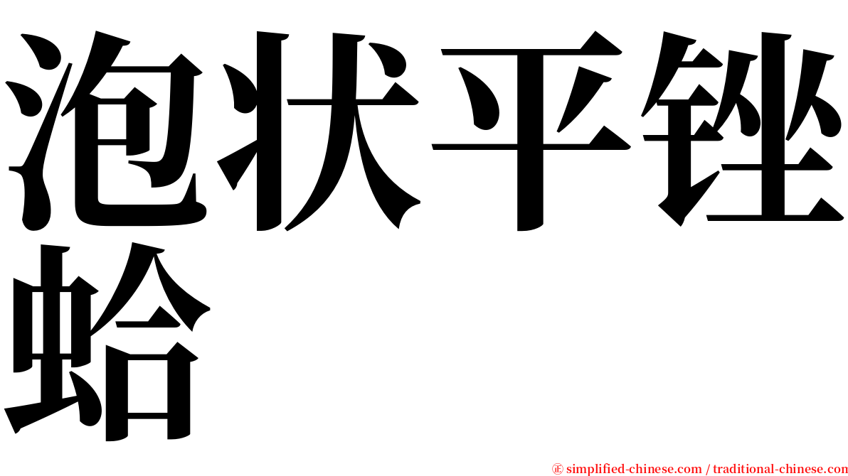 泡状平锉蛤 serif font