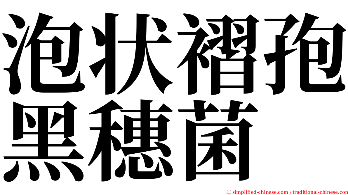泡状褶孢黑穗菌 serif font