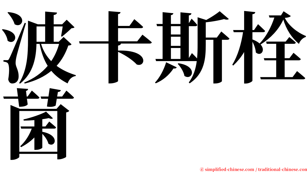 波卡斯栓菌 serif font