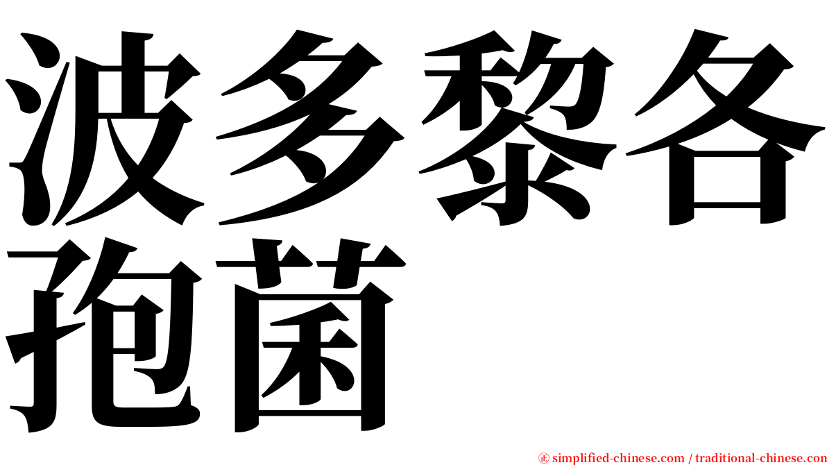 波多黎各孢菌 serif font