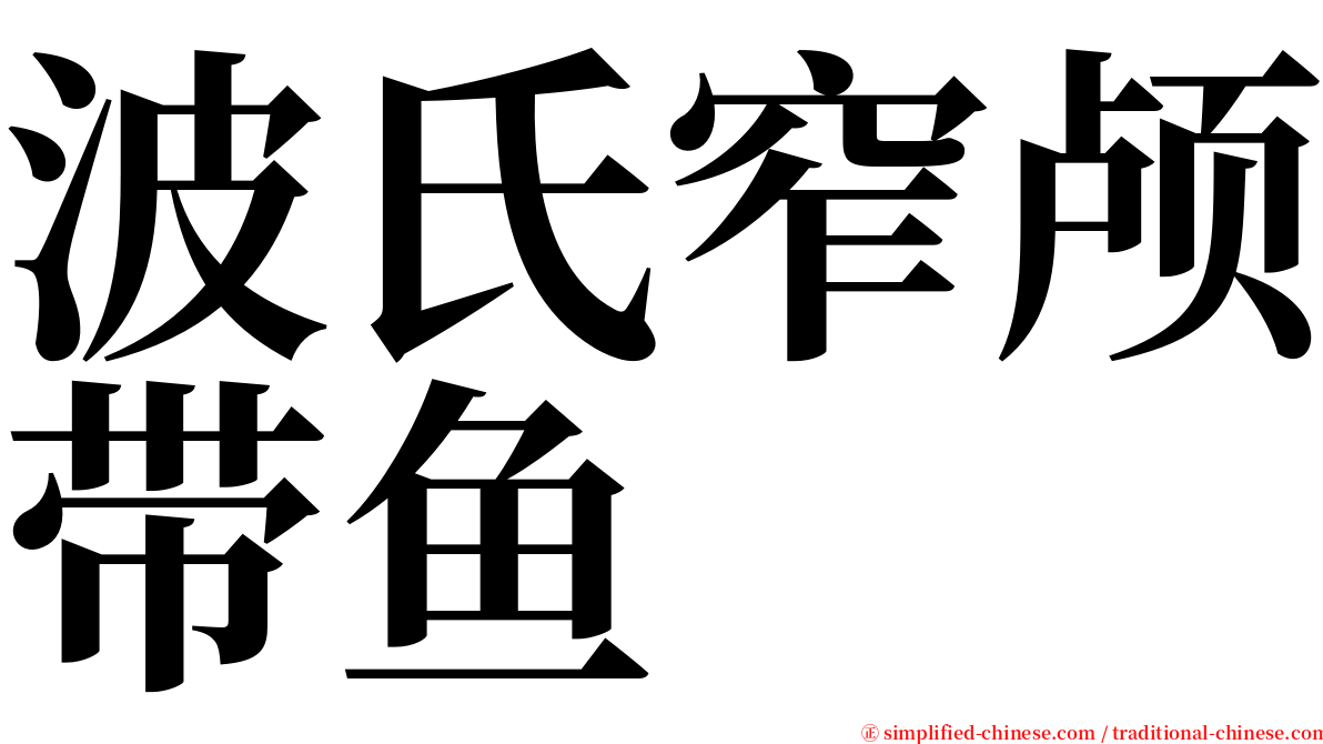 波氏窄颅带鱼 serif font