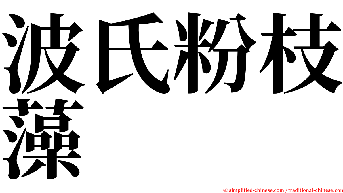 波氏粉枝藻 serif font