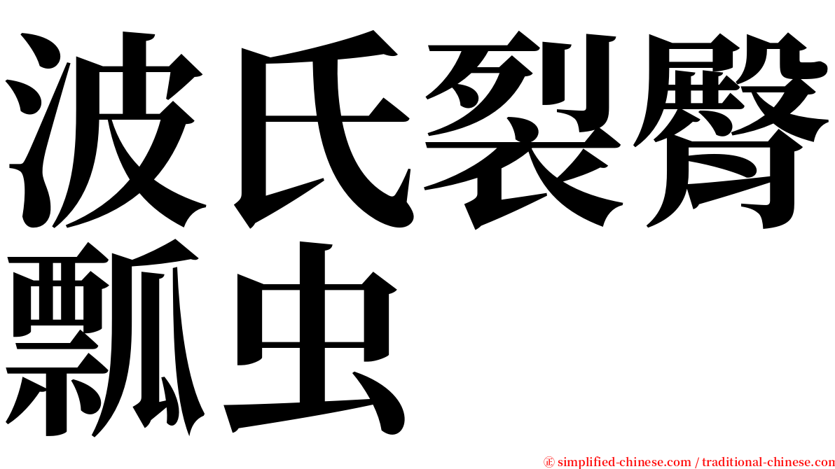 波氏裂臀瓢虫 serif font