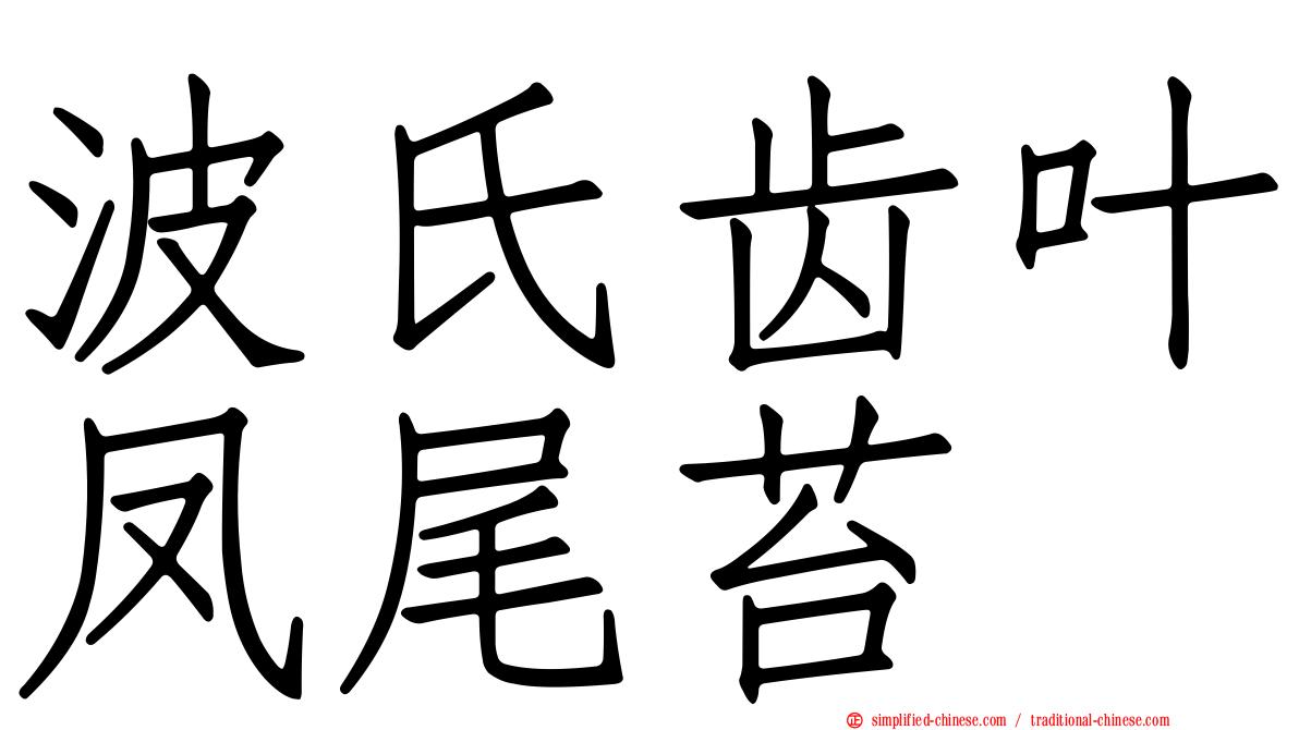 波氏齿叶凤尾苔