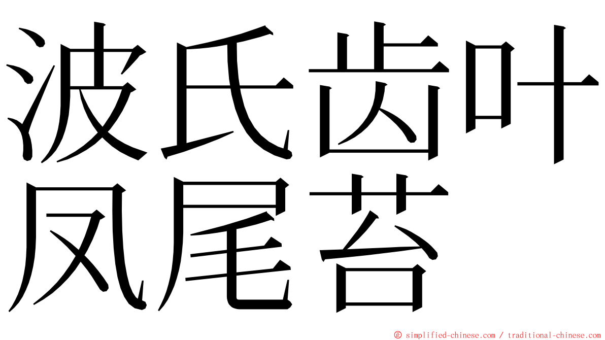 波氏齿叶凤尾苔 ming font