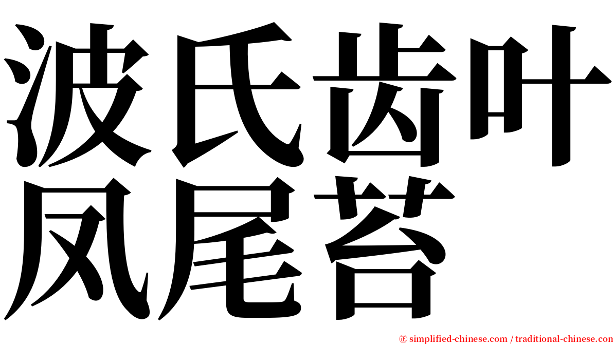 波氏齿叶凤尾苔 serif font