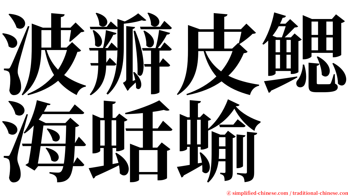 波瓣皮鳃海蛞蝓 serif font