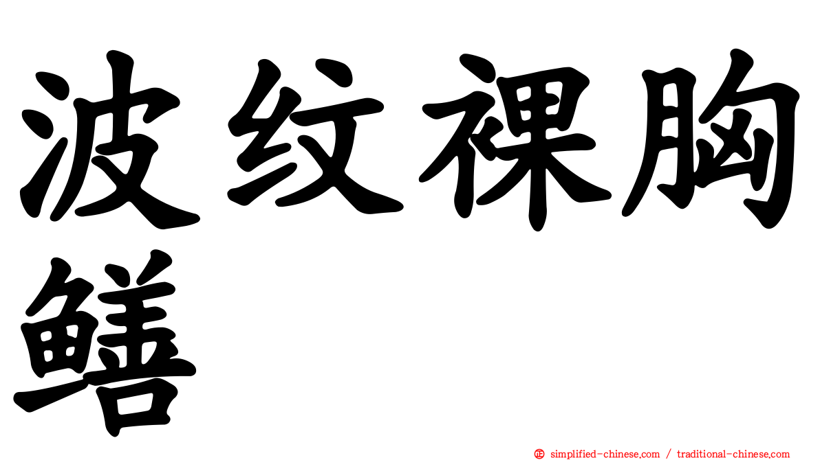 波纹裸胸鳝