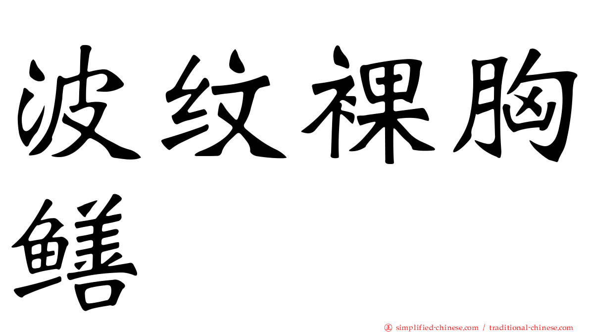 波纹裸胸鳝