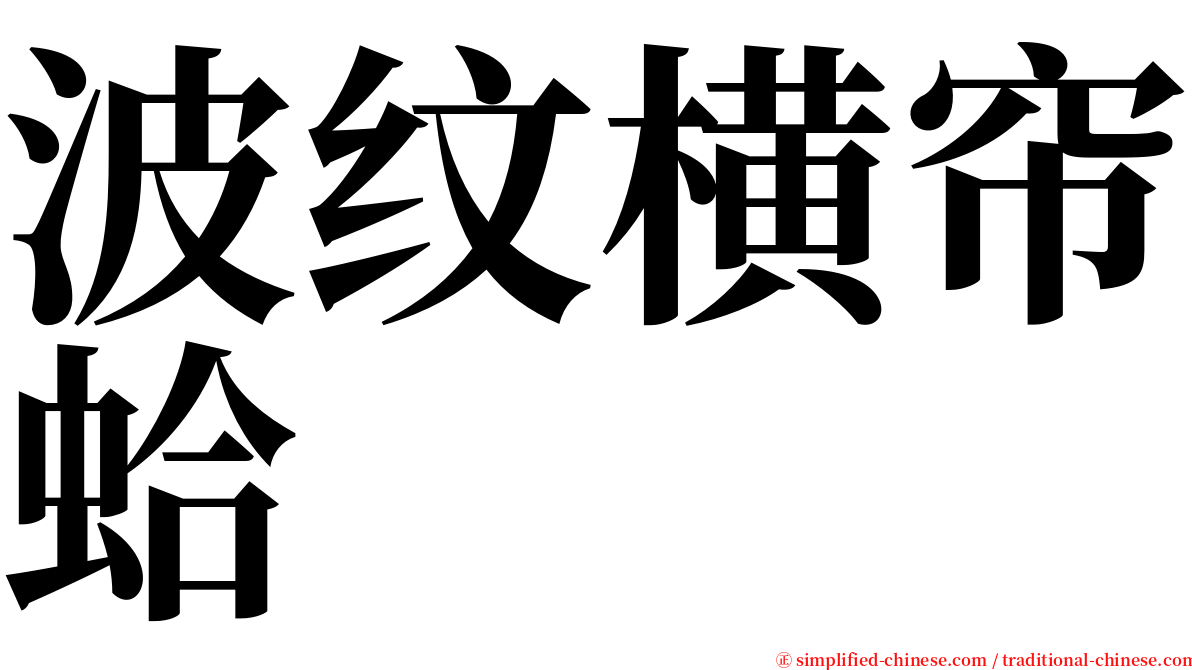 波纹横帘蛤 serif font