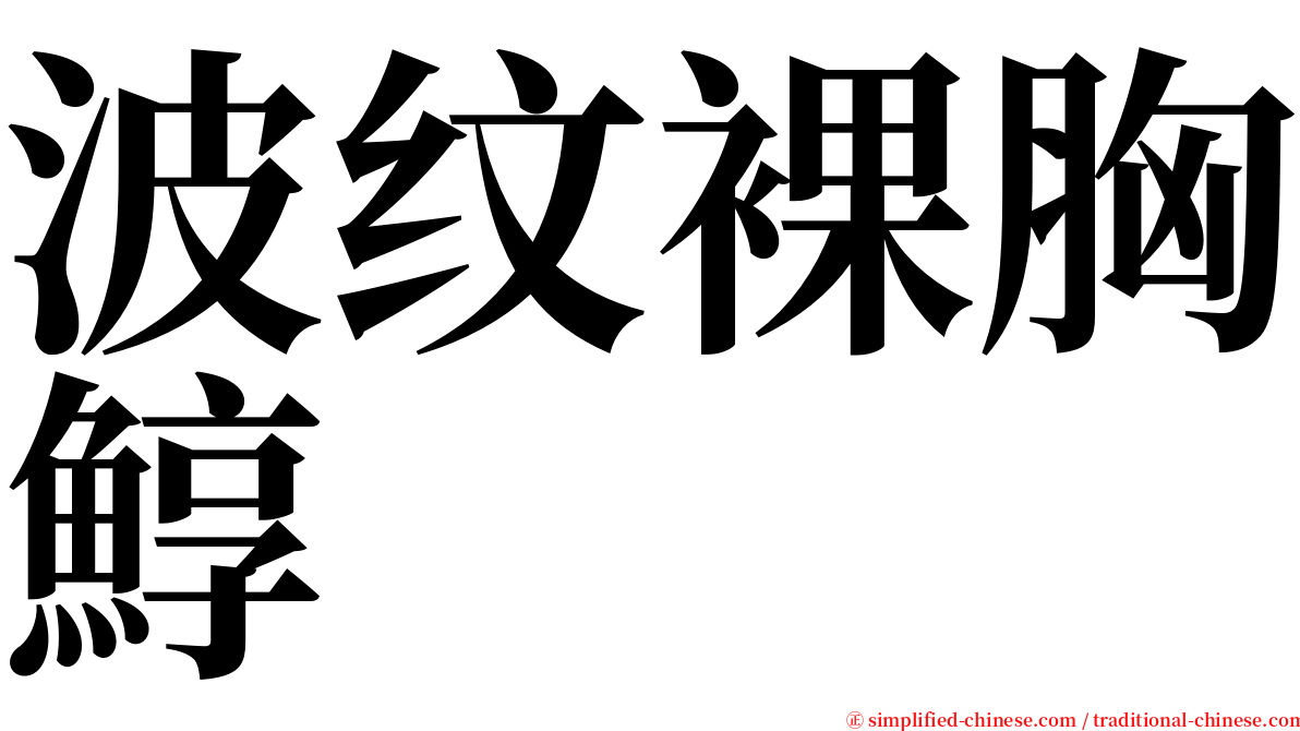 波纹裸胸鯙 serif font