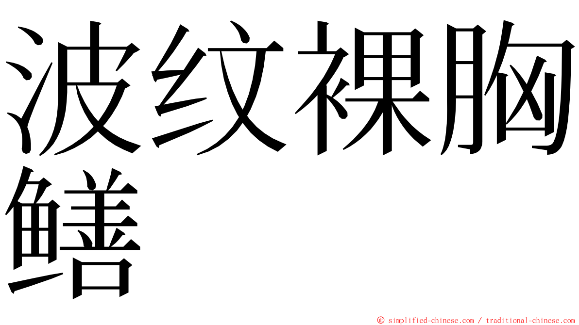 波纹裸胸鳝 ming font