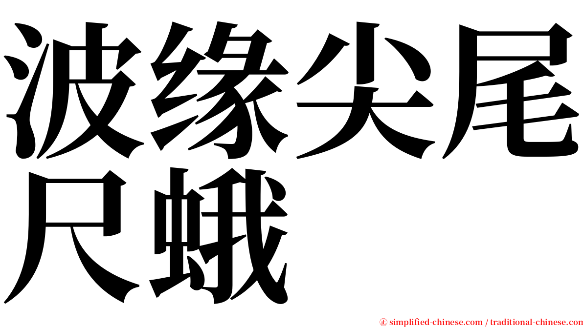 波缘尖尾尺蛾 serif font