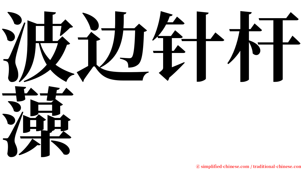 波边针杆藻 serif font