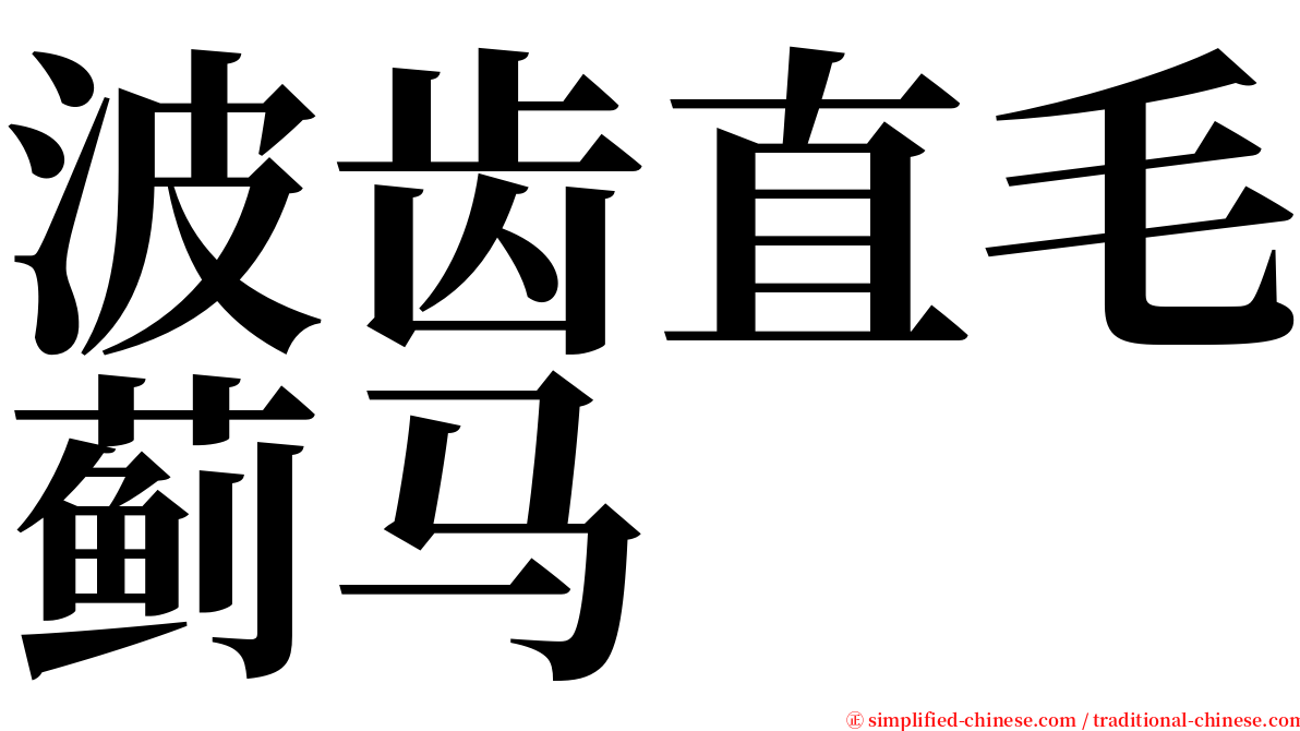 波齿直毛蓟马 serif font