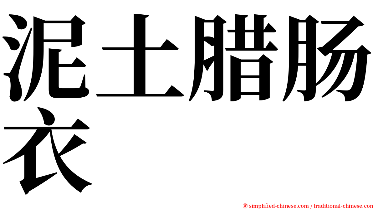 泥土腊肠衣 serif font