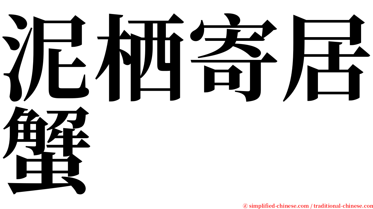 泥栖寄居蟹 serif font