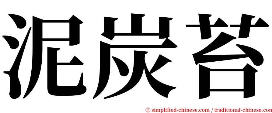 泥炭苔 serif font