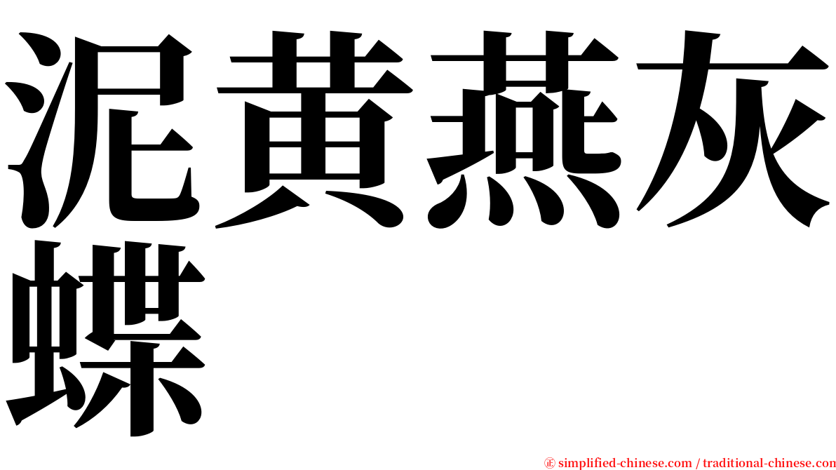 泥黄燕灰蝶 serif font