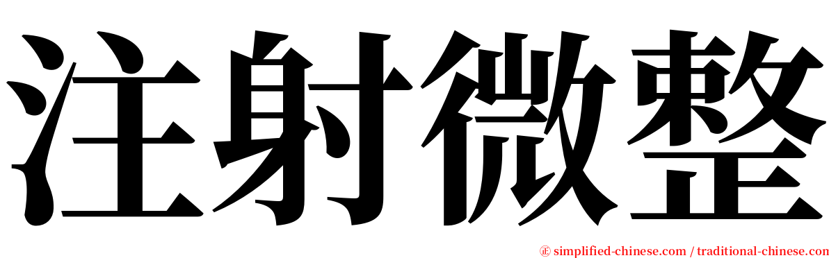 注射微整 serif font