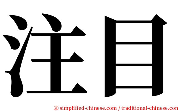 注目 serif font