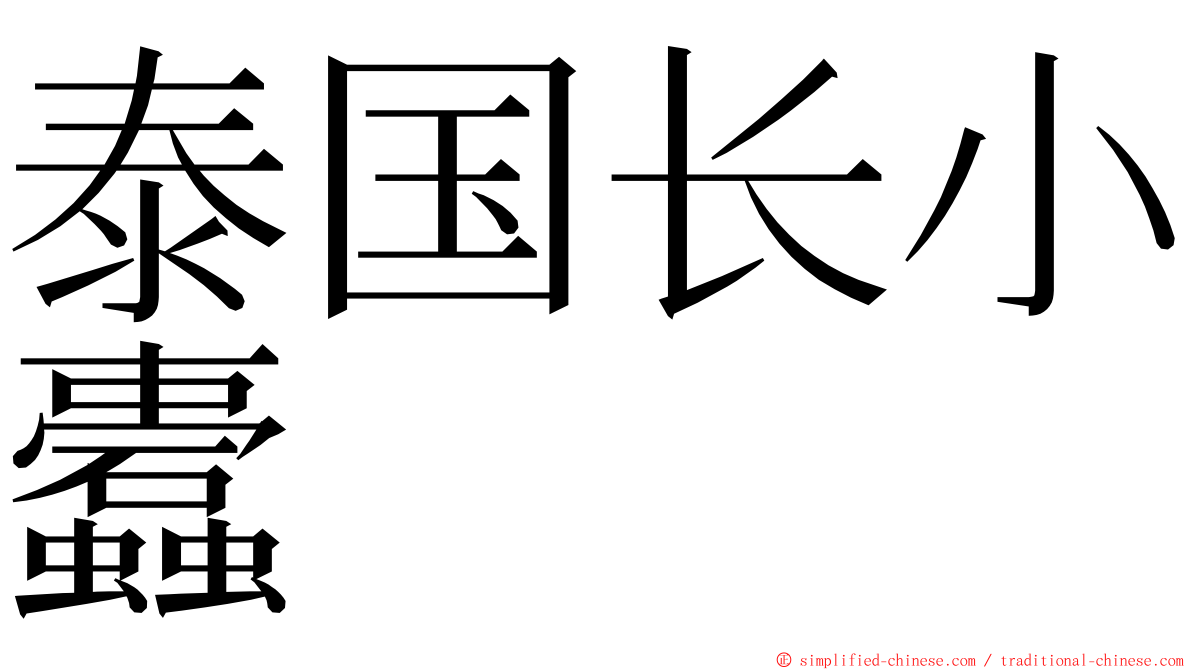 泰国长小蠹 ming font