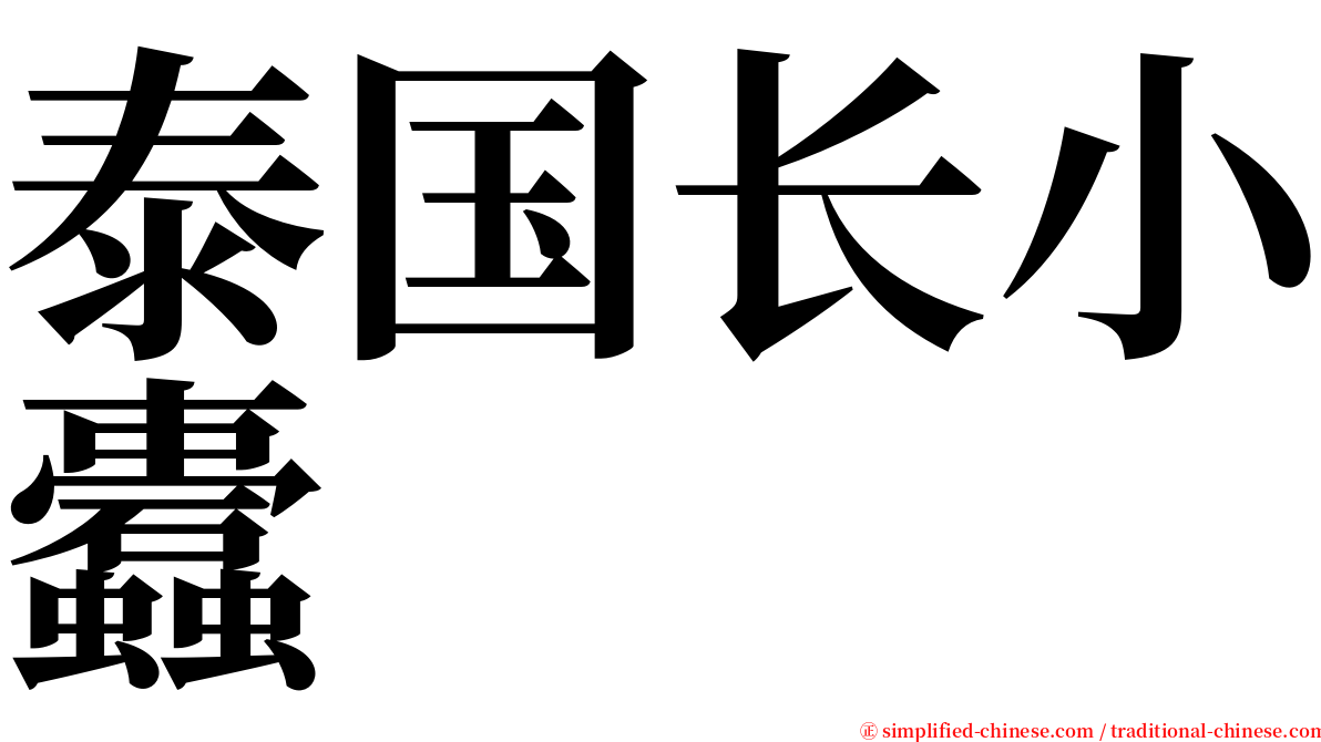 泰国长小蠹 serif font