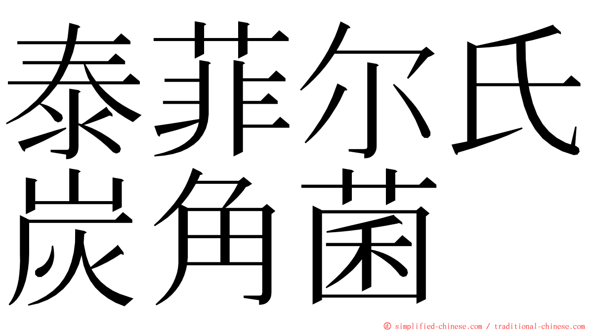 泰菲尔氏炭角菌 ming font