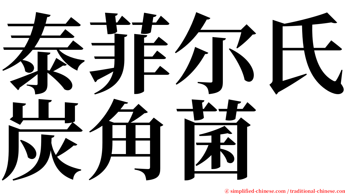 泰菲尔氏炭角菌 serif font