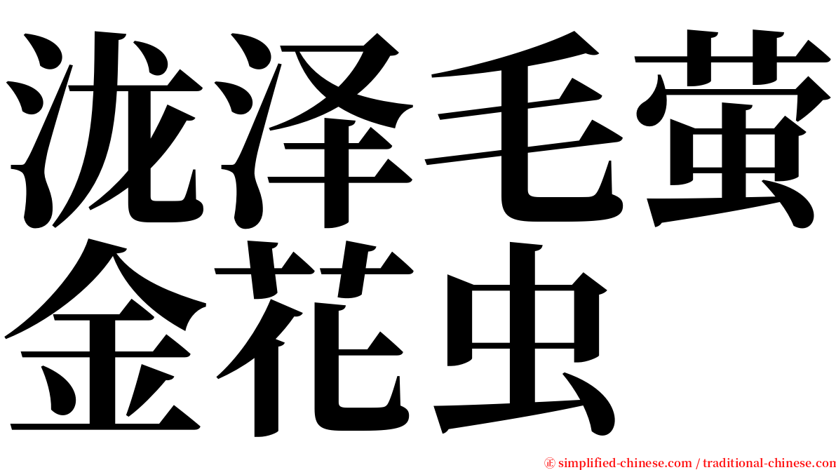 泷泽毛萤金花虫 serif font