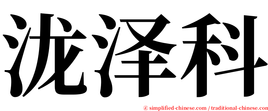 泷泽科 serif font