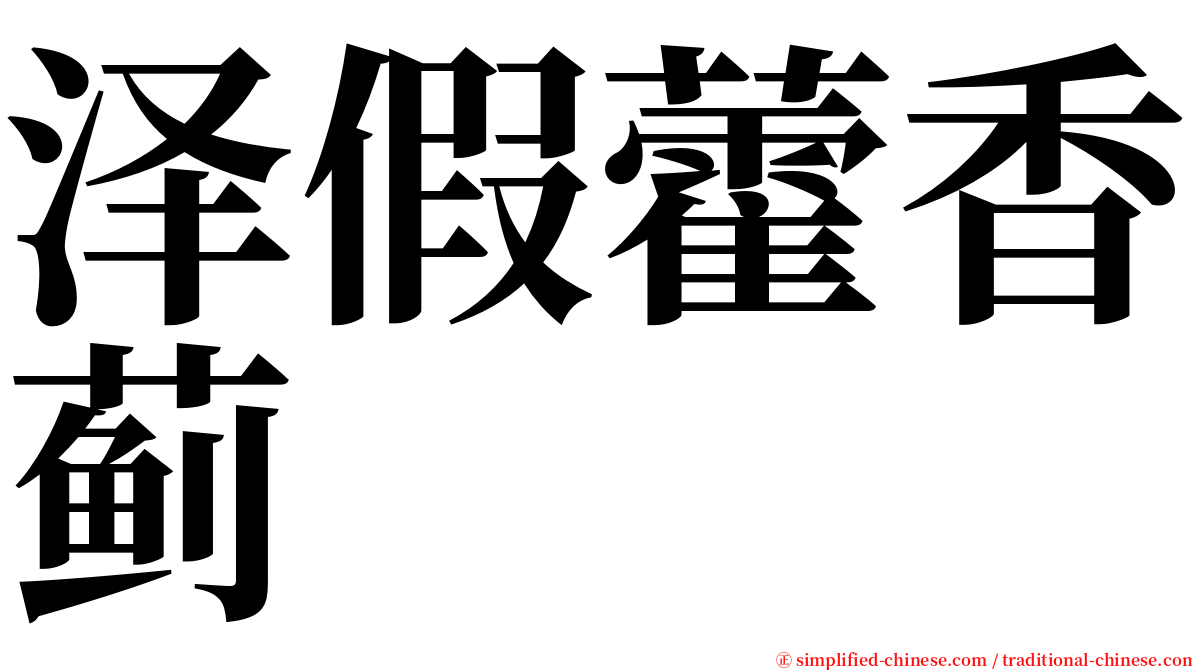 泽假藿香蓟 serif font