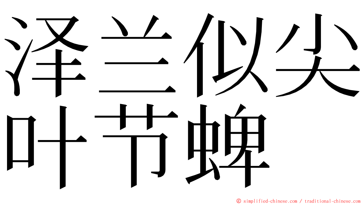 泽兰似尖叶节蜱 ming font