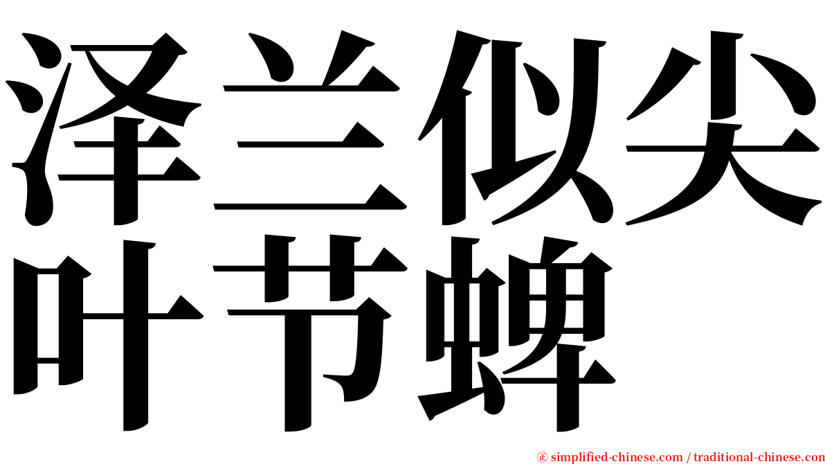 泽兰似尖叶节蜱 serif font