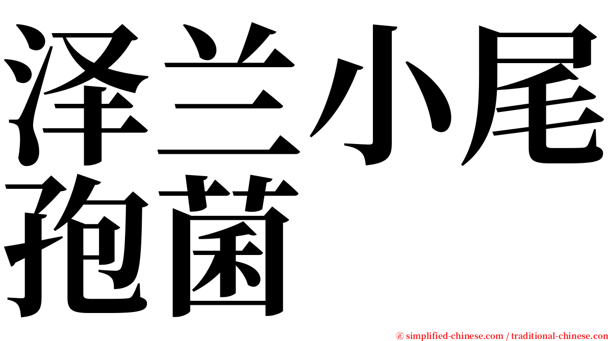 泽兰小尾孢菌 serif font